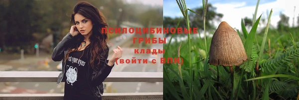 крисы Абинск