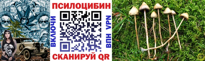 Галлюциногенные грибы Psilocybine cubensis  где продают   Питкяранта 